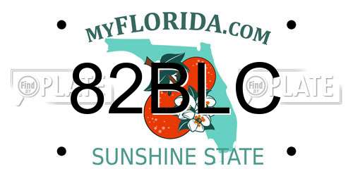 82BLC Florida License Plate