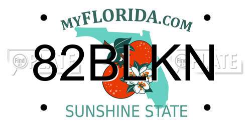 82BLKN Florida License Plate