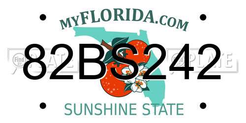 82BS242 Florida License Plate