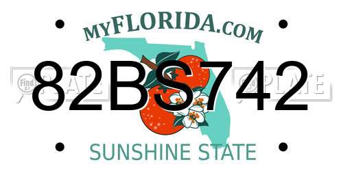 82BS742 Florida License Plate