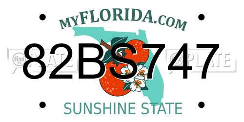 82BS747 Florida License Plate