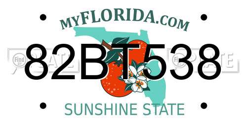 82BT538 Florida License Plate
