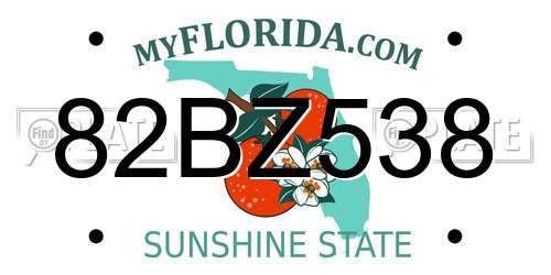 82BZ538 Florida License Plate