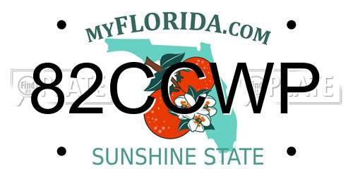 82CCWP Florida License Plate