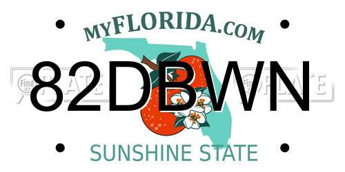 82DBWN Florida License Plate
