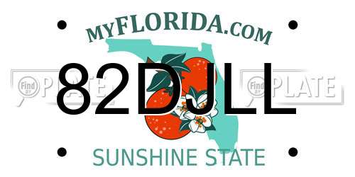 82DJLL Florida License Plate