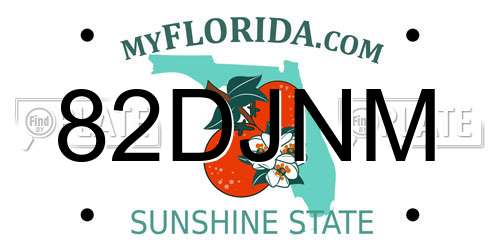 82DJNM Florida License Plate
