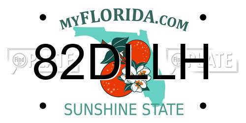 82DLLH Florida License Plate