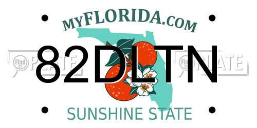 82DLTN Florida License Plate