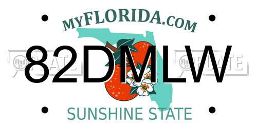 82DMLW Florida License Plate