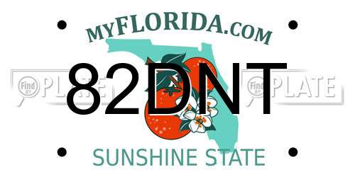 82DNT Florida License Plate