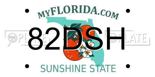 82DSH Florida License Plate