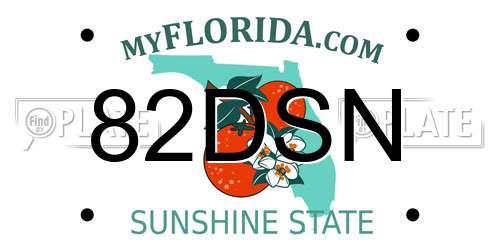 82DSN Florida License Plate