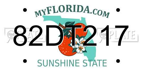 82DT217 Florida License Plate