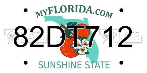 82DT712 Florida License Plate