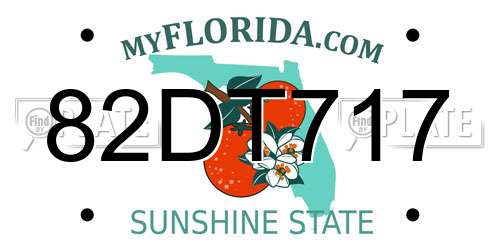 82DT717 Florida License Plate