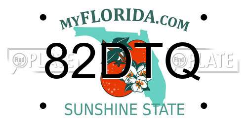 82DTQ Florida License Plate