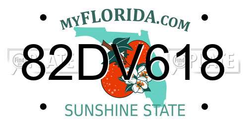 82DV618 Florida License Plate