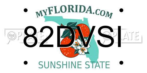 82DVSI Florida License Plate