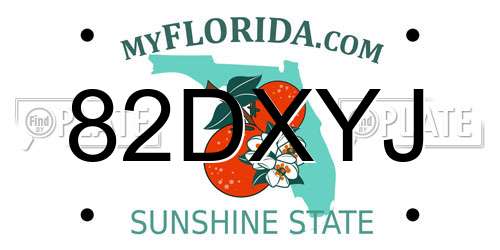 82DXYJ Florida License Plate