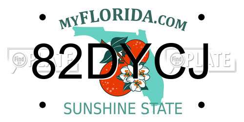 82DYCJ Florida License Plate