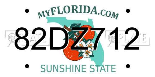 82DZ712 Florida License Plate