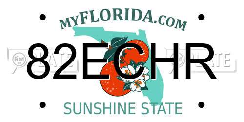 82ECHR Florida License Plate