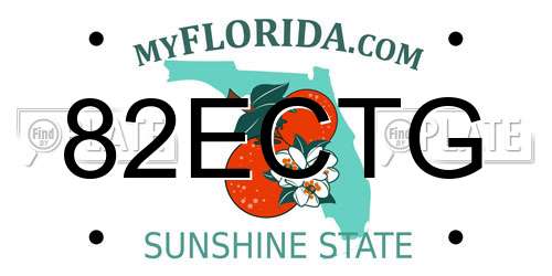 82ECTG Florida License Plate