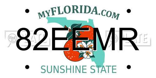 82EEMR Florida License Plate