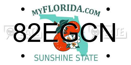 82EGCN Florida License Plate