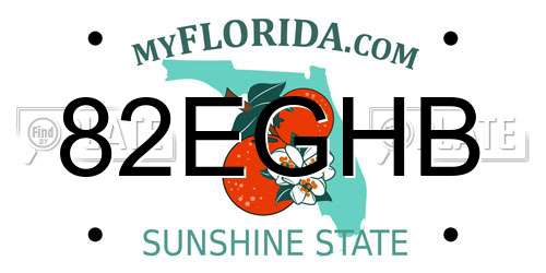 82EGHB Florida License Plate