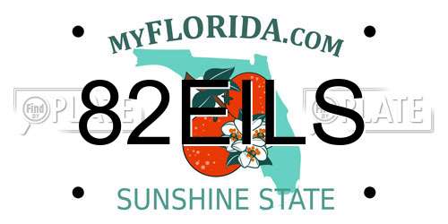 82EILS Florida License Plate