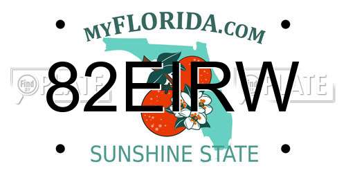 82EIRW Florida License Plate