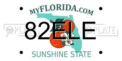 82ELE Florida License Plate