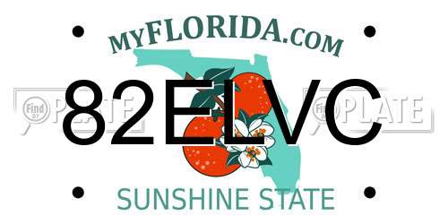 82ELVC Florida License Plate