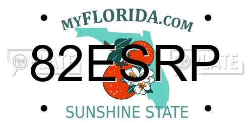 82ESRP Florida License Plate