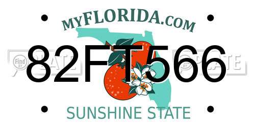 82FT566 Florida License Plate