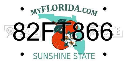 82FT866 Florida License Plate