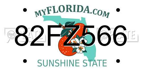 82FZ566 Florida License Plate