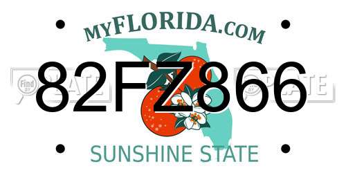 82FZ866 Florida License Plate