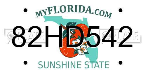 82HD542 Florida License Plate