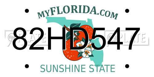 82HD547 Florida License Plate