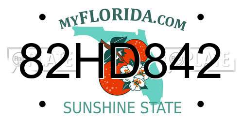 82HD842 Florida License Plate
