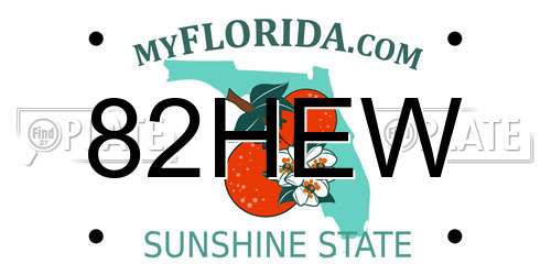 82HEW Florida License Plate