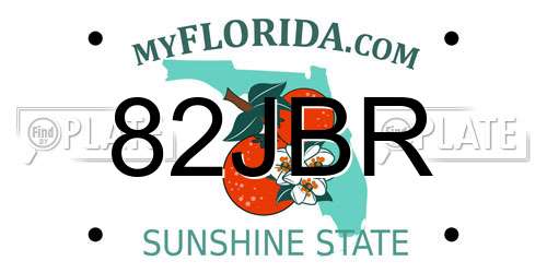 82JBR Florida License Plate