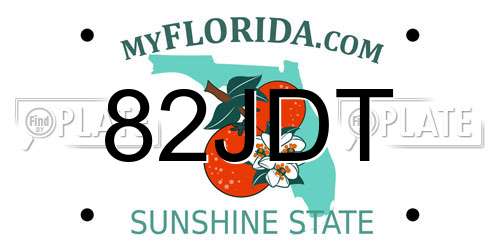 82JDT Florida License Plate