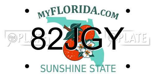 82JGY Florida License Plate