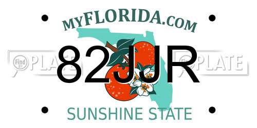 82JJR Florida License Plate