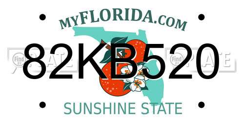 82KB520 Florida License Plate
