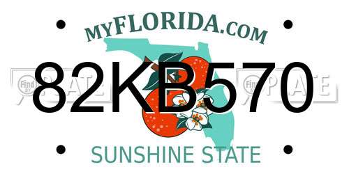 82KB570 Florida License Plate